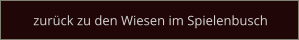 zurück zu den Wiesen im Spielenbusch