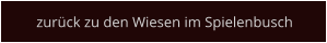 zurück zu den Wiesen im Spielenbusch