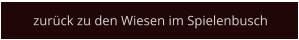 zurück zu den Wiesen im Spielenbusch